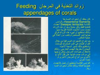 زوائد التغذية في المرجان Feeding appendages of corals