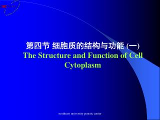 第四节 细胞质的结构与功能 ( 一 ) The Structure and Function of Cell Cytoplasm