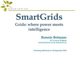 SmartGrids Grids: where power meets intelligence