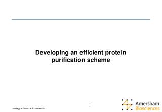 Developing an efficient protein purification scheme