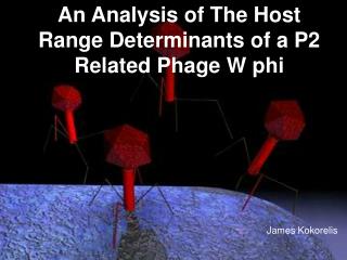 An Analysis of The Host Range Determinants of a P2 Related Phage W phi