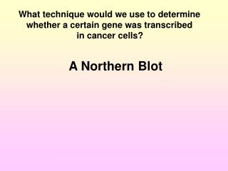 What technique would we use to determine whether a certain gene was transcribed in cancer cells?