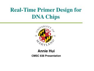 Real-Time Primer Design for DNA Chips