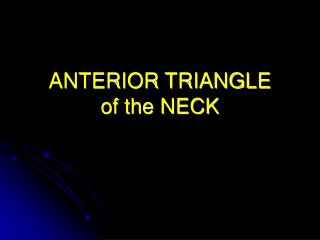ANTERIOR TRIANGLE of the NECK