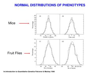 NORMAL DISTRIBUTIONS OF PHENOTYPES