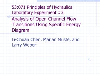 Li-Chuan Chen, Marian Muste, and Larry Weber