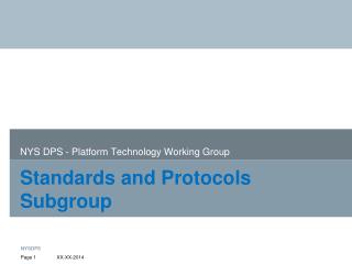 Standards and Protocols Subgroup