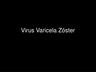 Virus Varicela Zóster