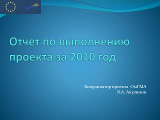 Отчет по выполнению проекта за 2010 год