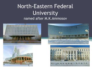 North-Eastern Federal University named after M.K.Ammosov