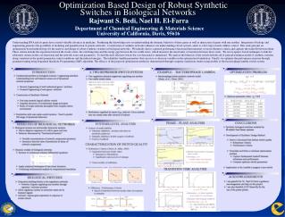Optimization Based Design of Robust Synthetic