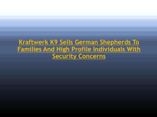 Kraftwerk K9 Sells German Shepherds To Families And High Pro