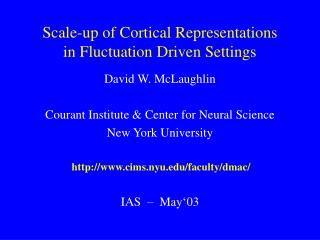 Scale-up of Cortical Representations in Fluctuation Driven Settings