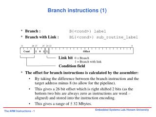 Branch instructions (1)