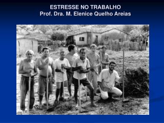 ESTRESSE NO TRABALHO Prof. Dra. M. Elenice Quelho Areias
