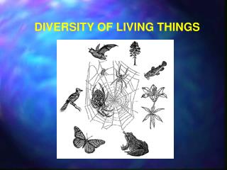 DIVERSITY OF LIVING THINGS