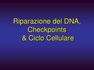 Riparazione del DNA, Checkpoints &amp; Ciclo Cellulare