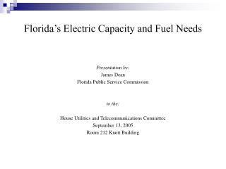 Florida’s Electric Capacity and Fuel Needs