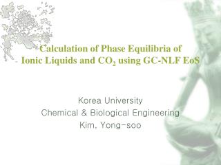Calculation of Phase Equilibria of Ionic Liquids and CO 2 using GC-NLF EoS