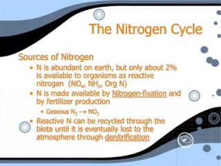 The Nitrogen Cycle