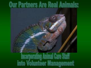 Our Partners Are Real Animals: