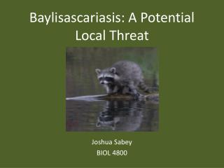 Baylisascariasis : A Potential Local Threat