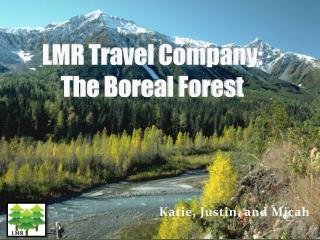 LMR Travel Company: The Boreal Forest