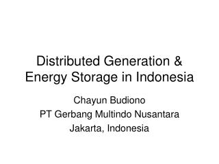 Distributed Generation &amp; Energy Storage in Indonesia