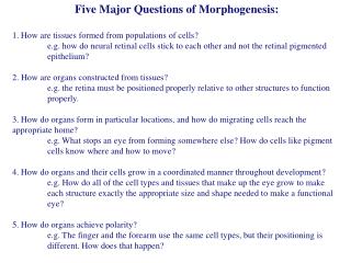 Five Major Questions of Morphogenesis: 1. How are tissues formed from populations of cells?