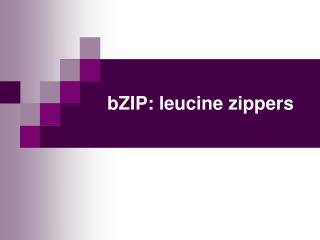 bZIP: leucine zippers