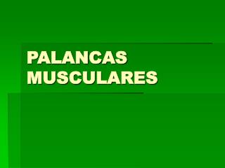 PALANCAS MUSCULARES