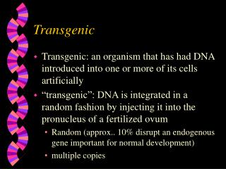 Transgenic
