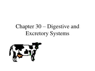 Chapter 30 – Digestive and Excretory Systems