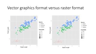 Vector graphics format versus raster format