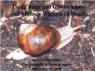 Using Bugs and GIS to Assess and Manage Watershed Health