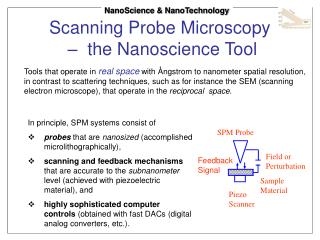 Scanning Probe Microscopy – the Nanoscience Tool