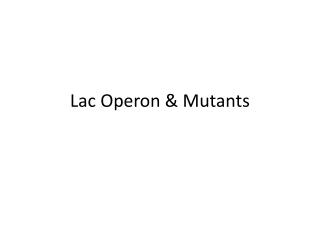 Lac Operon &amp; Mutants