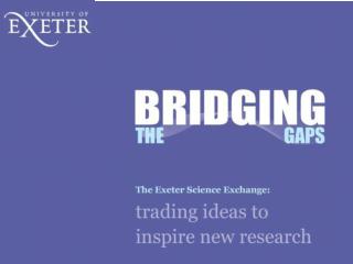 End of First Year Review Professor David Butler Principal Investigator, Bridging the Gaps