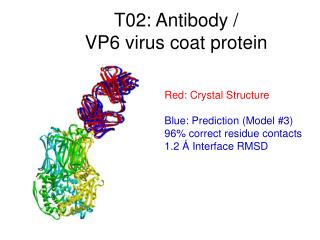 T02: Antibody / VP6 virus coat protein