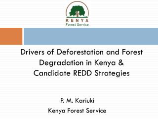 Drivers of Deforestation and Forest Degradation in Kenya &amp; Candidate REDD Strategies
