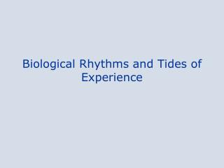 Biological Rhythms and Tides of Experience