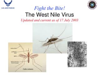 Fight the Bite! The West Nile Virus Updated and current as of 17 July 2003