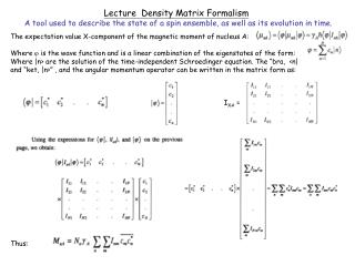 Lecture Density Matrix Formalism