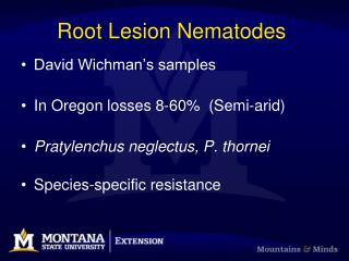Root Lesion Nematodes