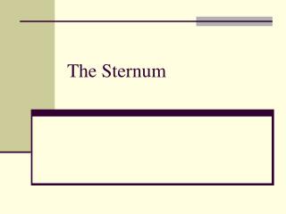The Sternum