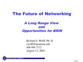 The Future of Networking A Long Range View and Opportunities for BRIN