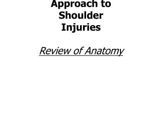 Neuromuscular Therapy Approach to Shoulder Injuries Review of Anatomy