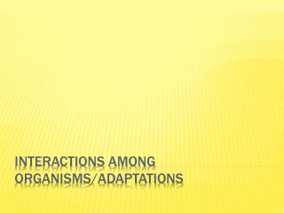 Interactions among Organisms/Adaptations