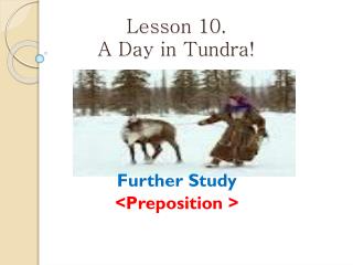 Lesson 10. A Day in Tundra!