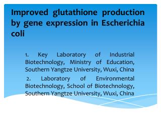 Improved glutathione production by gene expression in Escherichia coli